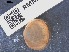 ( - RMNH.5009299)  @11 [ ] CreativeCommons - Attribution Non-Commercial Share-Alike (2018) Unspecified Naturalis Biodiversity Center
