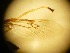  ( - RMNH.5015456)  @11 [ ] CreativeCommons - Attribution Non-Commercial Share-Alike (2018) Unspecified Naturalis Biodiversity Center