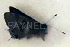  ( - CF-LYC-1430)  @11 [ ] by-nc-sa (2021) C. FAYNEL MNHN, Paris