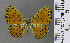  ( - CF-LYC-1759)  @11 [ ] by-nc-sa (2022) C. FAYNEL MNHN, Paris