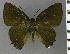  ( - CF-LYC-1982)  @11 [ ] by-nc-sa (2023) C. FAYNEL MNHN, Paris