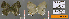  ( - CF-LYC-600)  @11 [ ] CreativeCommons - Attribution Non-Commercial Share-Alike (2019) C. FAYNEL MNHN, Paris