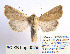  ( - BC_SB_Lep_0029)  @14 [ ] CreativeCommons - Attribution (2010) Gergin Blagoev, Centre for Biodiversity Genomics Centre for Biodiversity Genomics