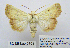  ( - BC_SB_Lep_0101)  @13 [ ] CreativeCommons - Attribution (2010) Gergin Blagoev, Centre for Biodiversity Genomics Centre for Biodiversity Genomics