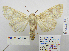  ( - BC_SB_Lep_0122)  @14 [ ] CreativeCommons - Attribution (2010) Gergin Blagoev, Centre for Biodiversity Genomics Centre for Biodiversity Genomics