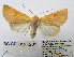  ( - BC_SB_Lep_0281)  @14 [ ] CreativeCommons - Attribution (2010) Gergin Blagoev, Centre for Biodiversity Genomics Centre for Biodiversity Genomics
