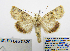  ( - BC_SB_Lep_0329)  @14 [ ] CreativeCommons - Attribution (2010) Gergin Blagoev, Centre for Biodiversity Genomics Centre for Biodiversity Genomics