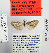  ( - BC_SB_Lep_0380)  @12 [ ] CreativeCommons - Attribution (2010) Gergin Blagoev, Centre for Biodiversity Genomics Centre for Biodiversity Genomics