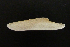  ( - NMSC_0162)  @11 [ ] Copyright  Steve Smith National Marine Science Centre