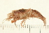  ( - HLC-25658)  @11 [ ] CreativeCommons - Attribution (2008) Unspecified Centre for Biodiversity Genomics
