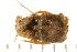  ( - HLC-25668)  @11 [ ] CreativeCommons - Attribution (2008) Unspecified Centre for Biodiversity Genomics