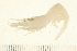  ( - HLC-25714)  @13 [ ] CreativeCommons - Attribution (2008) Unspecified Centre for Biodiversity Genomics