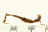  ( - HLC-25735)  @11 [ ] CreativeCommons - Attribution (2008) Unspecified Centre for Biodiversity Genomics