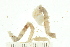  ( - HLC-30390)  @11 [ ] CreativeCommons - Attribution (2008) Unspecified Centre for Biodiversity Genomics