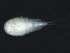  ( - HLC-26254)  @14 [ ] CreativeCommons - Attribution (2008) Unspecified Centre for Biodiversity Genomics