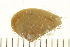  ( - HLC-26685)  @11 [ ] CreativeCommons - Attribution (2008) Unspecified Centre for Biodiversity Genomics