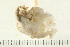  ( - HLC-25746)  @11 [ ] CreativeCommons - Attribution (2008) Unspecified Centre for Biodiversity Genomics