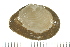  ( - HLC-30072)  @11 [ ] CreativeCommons - Attribution (2008) Unspecified Centre for Biodiversity Genomics