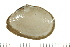  ( - HLC-30073)  @11 [ ] CreativeCommons - Attribution (2008) Unspecified Centre for Biodiversity Genomics