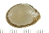  ( - HLC-30074)  @11 [ ] CreativeCommons - Attribution (2008) Unspecified Centre for Biodiversity Genomics