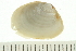  ( - HLC-30079)  @11 [ ] CreativeCommons - Attribution (2008) Unspecified Centre for Biodiversity Genomics