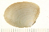  ( - HLC-26491)  @14 [ ] CreativeCommons - Attribution (2008) Unspecified Centre for Biodiversity Genomics