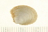  ( - HLC-26494)  @14 [ ] CreativeCommons - Attribution (2008) Unspecified Centre for Biodiversity Genomics