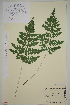  ( - AJK_0039)  @11 [ ] CreativeCommons - Attribution Non-Commercial Share-Alike (2012) Unspecified Tromso University Museum