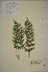  ( - AJK_0041)  @11 [ ] CreativeCommons - Attribution Non-Commercial Share-Alike (2012) Unspecified Tromso University Museum