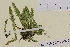  ( - AJK_0098)  @11 [ ] CreativeCommons - Attribution Non-Commercial Share-Alike (2012) Unspecified Tromso University Museum