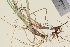  ( - TROM_V_961851_sg)  @11 [ ] CreativeCommons - Attribution Non-Commercial Share-Alike (2014) Unspecified Tromso University Museum