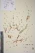  ( - TROM_V_960463_sg)  @11 [ ] CreativeCommons - Attribution Non-Commercial Share-Alike (2014) Unspecified Tromso University Museum
