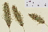  ( - TROM-V-134552)  @11 [ ] CreativeCommons - Attribution Non-Commercial Share-Alike (2013) Unspecified Tromso University Museum