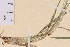  ( - TROM-V-70572)  @11 [ ] CreativeCommons - Attribution Non-Commercial Share-Alike (2013) Unspecified Tromso University Museum