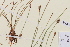 ( - TROM-V-89613)  @11 [ ] CreativeCommons - Attribution Non-Commercial Share-Alike (2013) Unspecified Tromso University Museum