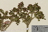  ( - TROM-V-964892)  @11 [ ] CreativeCommons - Attribution Non-Commercial Share-Alike (2014) Unspecified Tromso University Museum