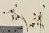  ( - TROM-V-962165)  @11 [ ] CreativeCommons - Attribution Non-Commercial Share-Alike (2013) Unspecified Tromso University Museum