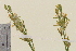  ( - TROM-V-88322)  @11 [ ] CreativeCommons - Attribution Non-Commercial Share-Alike (2013) Unspecified Tromso University Museum