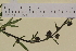  ( - SEL_0011)  @11 [ ] CreativeCommons - Attribution Non-Commercial Share-Alike (2013) Unspecified Tromso University Museum