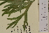  ( - SEL_0011)  @11 [ ] CreativeCommons - Attribution Non-Commercial Share-Alike (2013) Unspecified Tromso University Museum