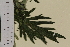  ( - SEL_0012)  @11 [ ] CreativeCommons - Attribution Non-Commercial Share-Alike (2013) Unspecified Tromso University Museum