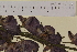  ( - SEL_0012)  @11 [ ] CreativeCommons - Attribution Non-Commercial Share-Alike (2013) Unspecified Tromso University Museum