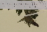  ( - SEL_0013)  @11 [ ] CreativeCommons - Attribution Non-Commercial Share-Alike (2013) Unspecified Tromso University Museum