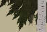  ( - SEL_0013)  @11 [ ] CreativeCommons - Attribution Non-Commercial Share-Alike (2013) Unspecified Tromso University Museum