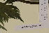  ( - SEL_0014)  @11 [ ] CreativeCommons - Attribution Non-Commercial Share-Alike (2013) Unspecified Tromso University Museum