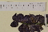  ( - SEL_0016)  @11 [ ] CreativeCommons - Attribution Non-Commercial Share-Alike (2013) Unspecified Tromso University Museum
