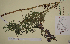  ( - SEL_0017)  @11 [ ] CreativeCommons - Attribution Non-Commercial Share-Alike (2013) Unspecified Tromso University Museum