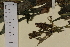  ( - SEL_0018)  @11 [ ] CreativeCommons - Attribution Non-Commercial Share-Alike (2013) Unspecified Tromso University Museum