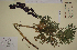  ( - SEL_0020)  @11 [ ] CreativeCommons - Attribution Non-Commercial Share-Alike (2013) Unspecified Tromso University Museum