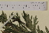  ( - SEL_0020)  @11 [ ] CreativeCommons - Attribution Non-Commercial Share-Alike (2013) Unspecified Tromso University Museum